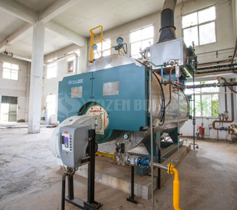 4 tons WNS condensing gas steam boiler project